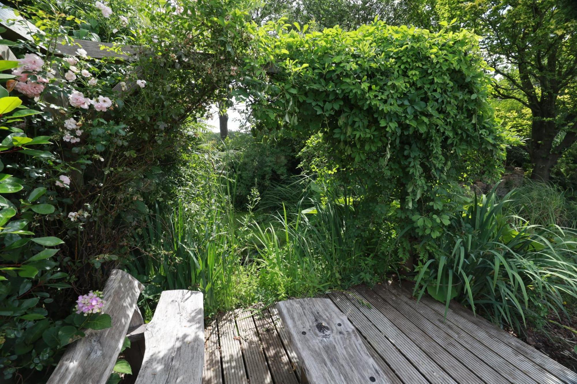 Wijhe Wellnessappartement 'T Wechtertje מראה חיצוני תמונה